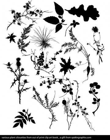 FLORAL_VECTOR