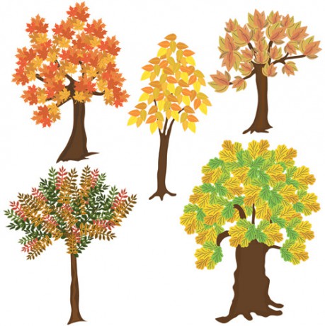 Autumn_trees1